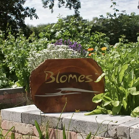 Blomes Дом отдыха *